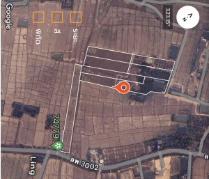 ขาย ที่ดิน ขายที่ดินอำเภอเมืองลำพูนราคาถูก ติดถนนบ้านบูชา-ป่าสัก ตำบลป่าสัก ใกล้แหล่งชุมชน-ตลาด-ห้าง-โรงพยาบาล เจ้าของขายเอง