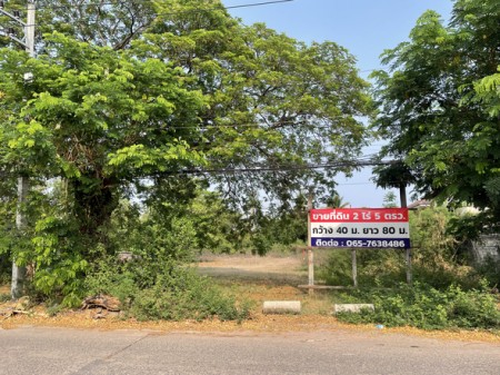 ที่ดิน ขาย เหมาะพัฒนาโครงการอสังหา ใจกลางเมืองอุดรธานี เหมาะเก็งกำไร ทำเลทองอุดรธานี ที่ดินโฉนดครุฑแดง