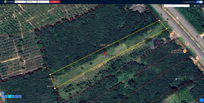 ขาย ที่ดิน อสังหาพัทลุงราคาคุ้มสุด ติดถนนเพชรเกษม ที่ดินป่าบอนถูกกว่าใกล้เคียง พร้อมไฟฟ้าน้ำประปา ที่ดินพัทลุงราคาถูก