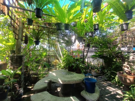 บ้าน ขาย สะดวกเดินทางหลายทาง เกษตรนวมินทร์–เอกมัย–รามอินทรา บ้านมือสองลาดพร้าวโชคชัย4 เลียบด่วน ใกล้โรงพยาบาลเปาโลโชคชัย4