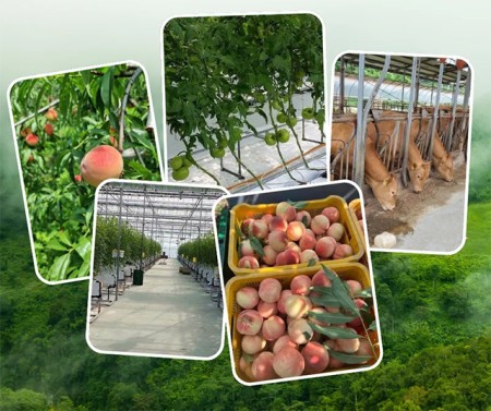 บริการ ประกาศ รับสมัครงานต่างประเทศด่วน งานสวนประเทศเกาหลีใต้ รายได้ดีมาก งานสวนประเทศออสเตรเลีย จัดหางานต่างประเทศ